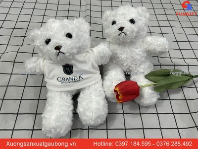 In gấu giá rẻ Hà Nội