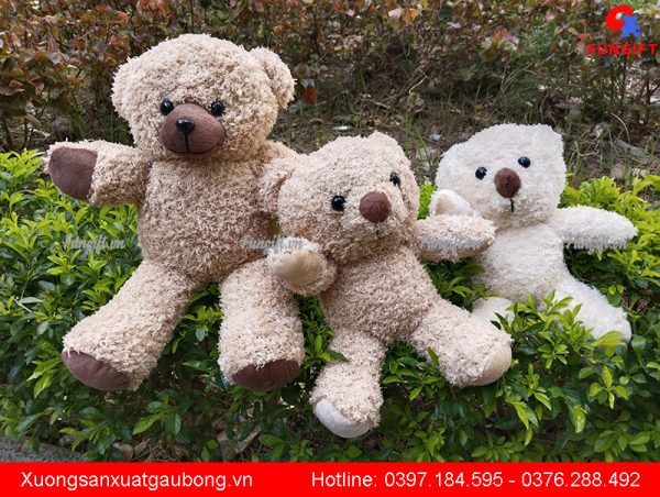 May gấu bông tại Hà Nội