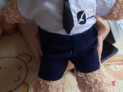 Thêu logo áo gấu phi công