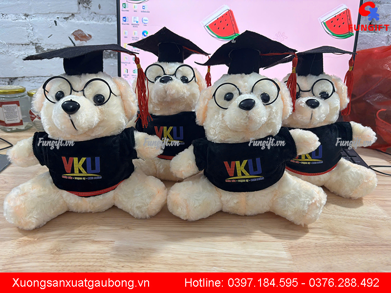 Gấu bông tốt nghiệp Hà Nội