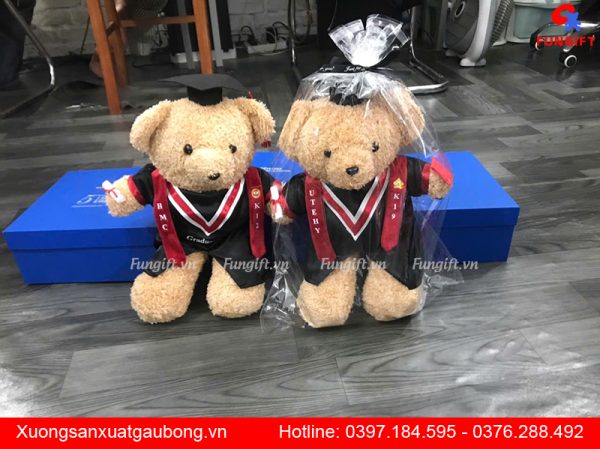 Gấu bông tốt nghiệp giá rẻ Hà Nội