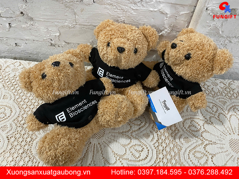 Gấu bông teddy in logo