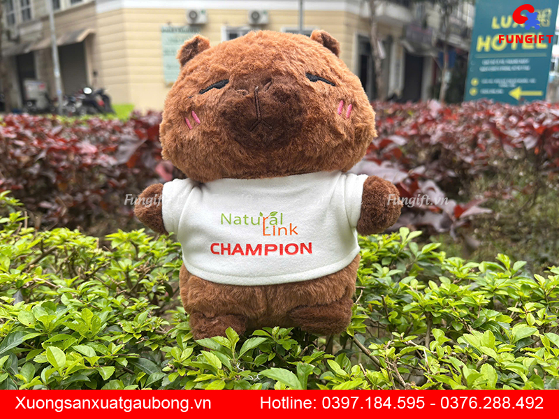 Đặt làm gấu bông theo yêu cầu Hà Nội