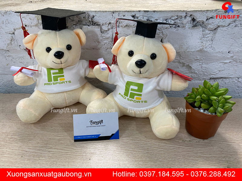 Gấu bông teddy in logo