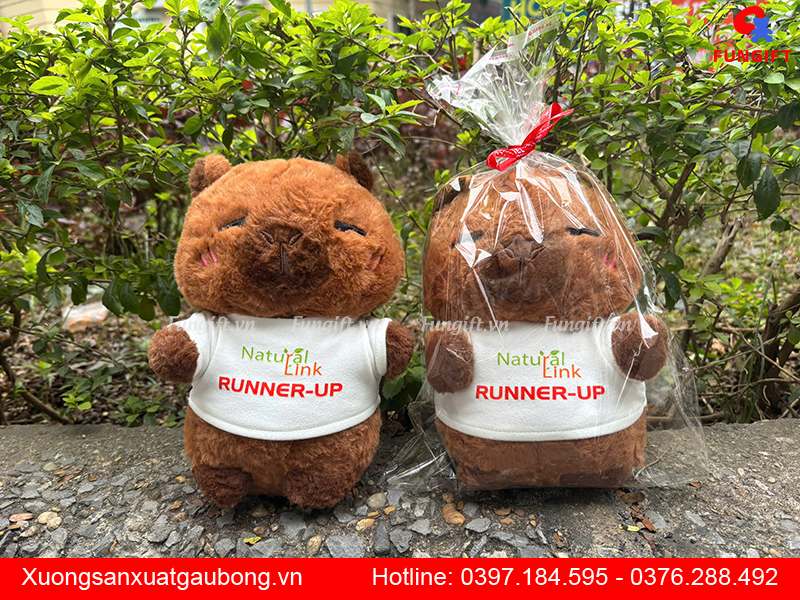 In gấu bông theo yêu cầu