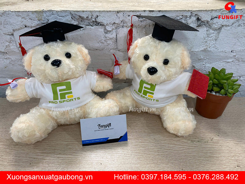 In gấu bông theo yêu cầu