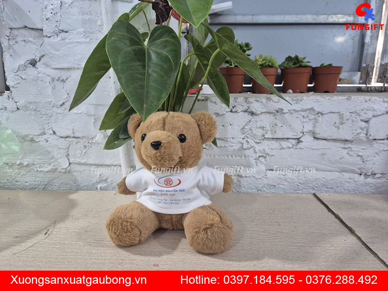 Sản xuất gấu 22cm số lượng lớn