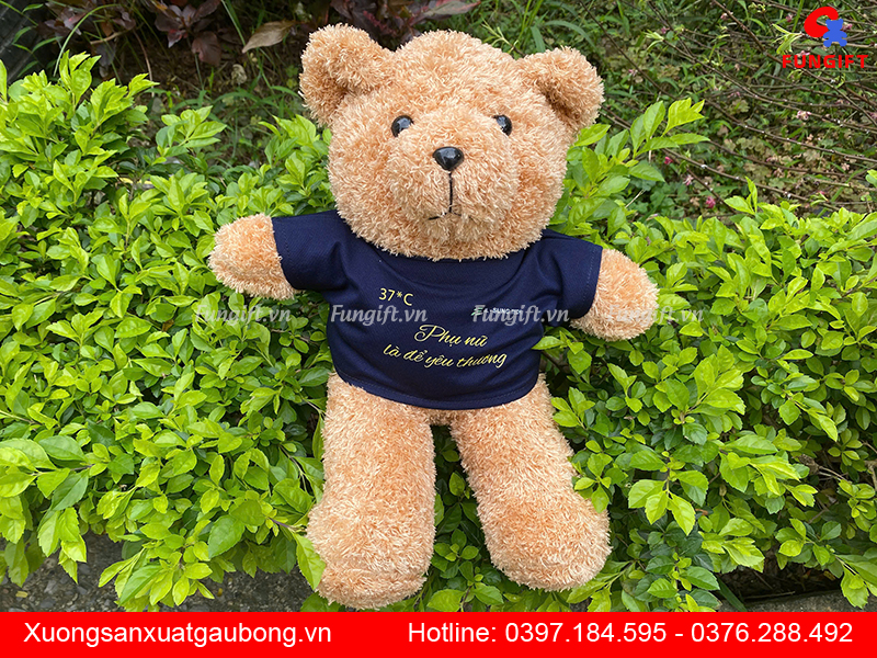 Mẫu gấu nhồi bông in làm quà tặng