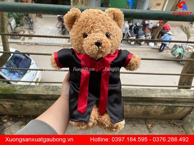 Gấu bông tốt nghiệp Hà Nội
