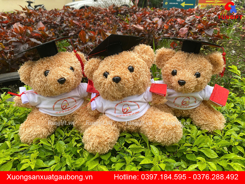 Xưởng sản xuất gấu cử nhân giá rẻ