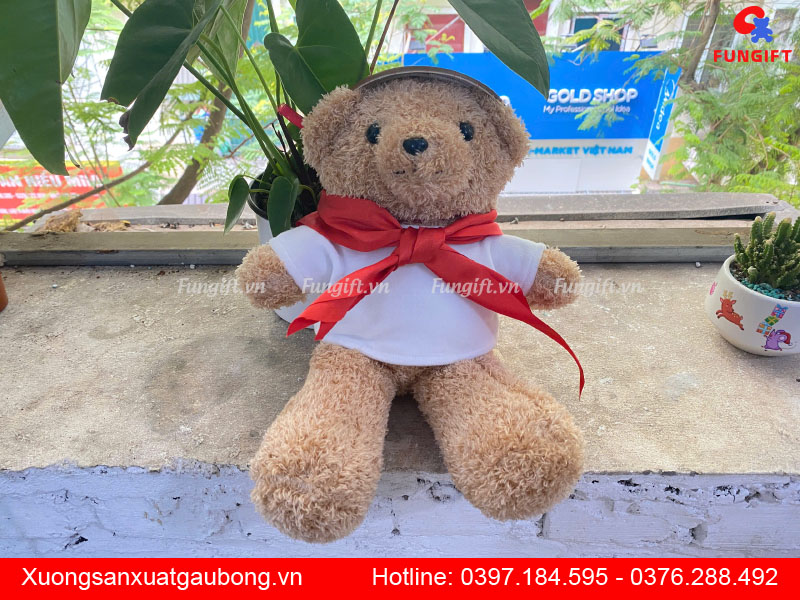 Đặt làm gấu bông theo yêu cầu Hà Nội