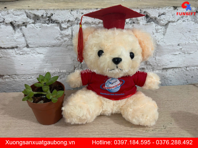 Gấu bông tốt nghiệp quà tặng