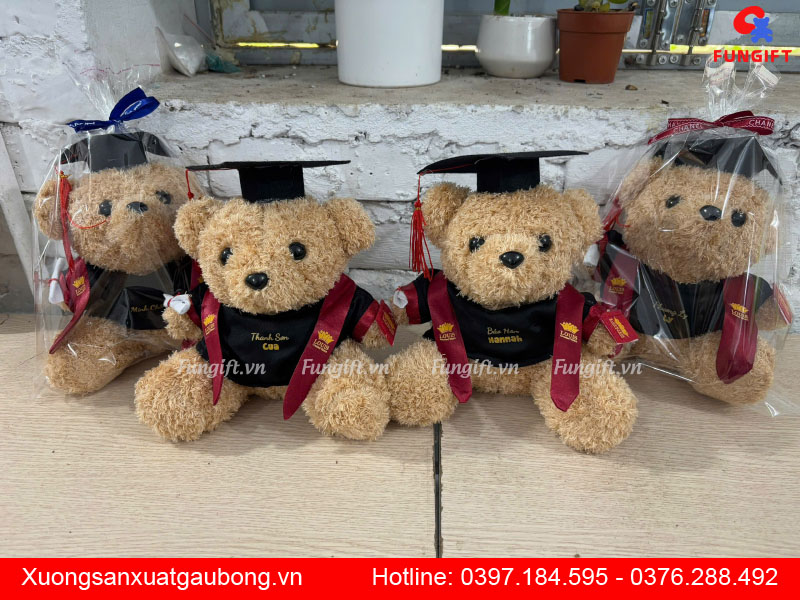 Sỉ lẻ gấu đeo sash cử nhân