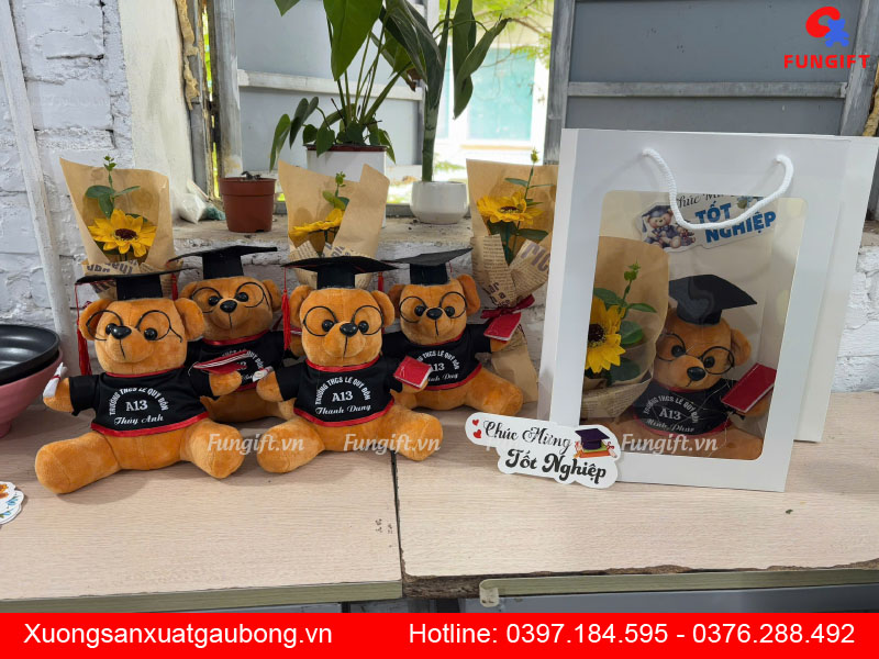 Gấu bông cử nhân quà tặng