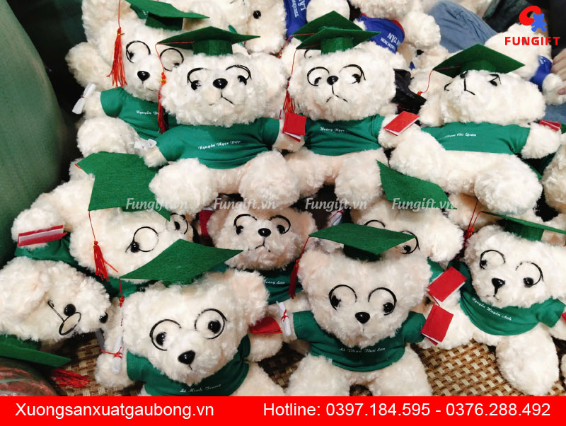 Gấu bông tốt nghiệp giá rẻ tại Hà Nội
