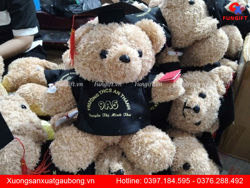 Gấu bông tốt nghiệp Hà Nội