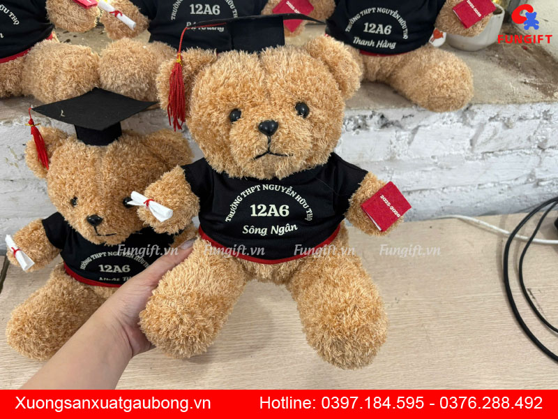 Gấu bông cử nhân tốt nghiệp giá rẻ