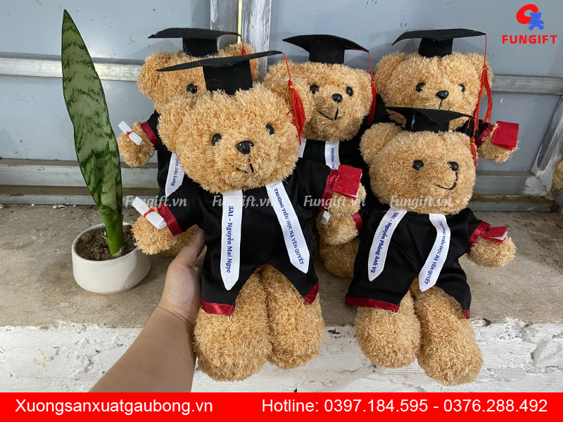 Gấu bông cử nhân
