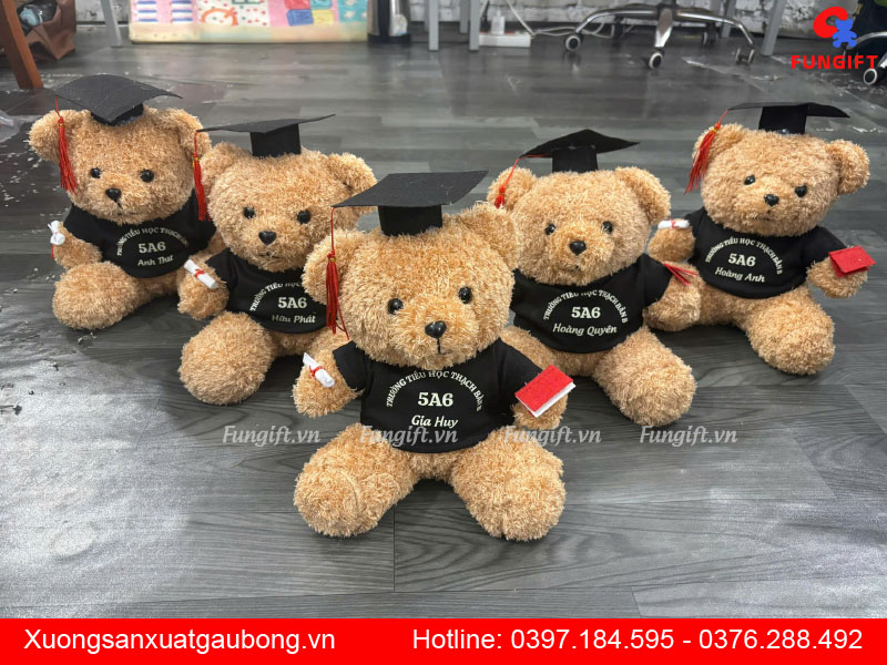Gấu bông tốt nghiệp 30cm in tên, logo trường