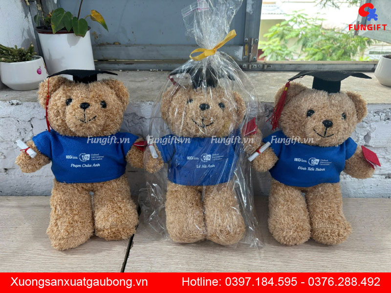 Gấu bông tốt nghiệp cử nhân