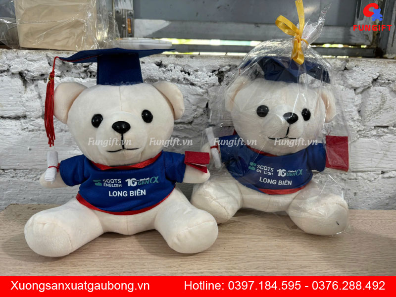Gấu bông tốt nghiệp giá rẻ Hà Nội