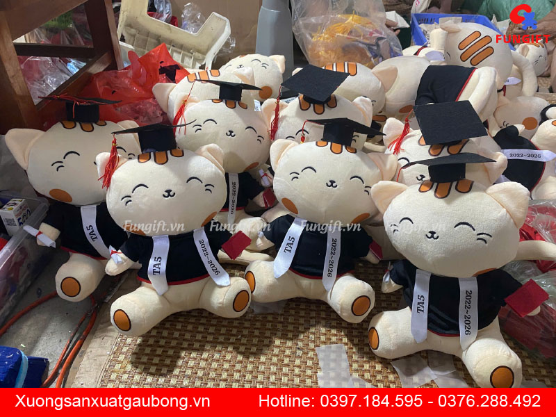 Gấu bông tốt nghiệp giá rẻ Hà Nội