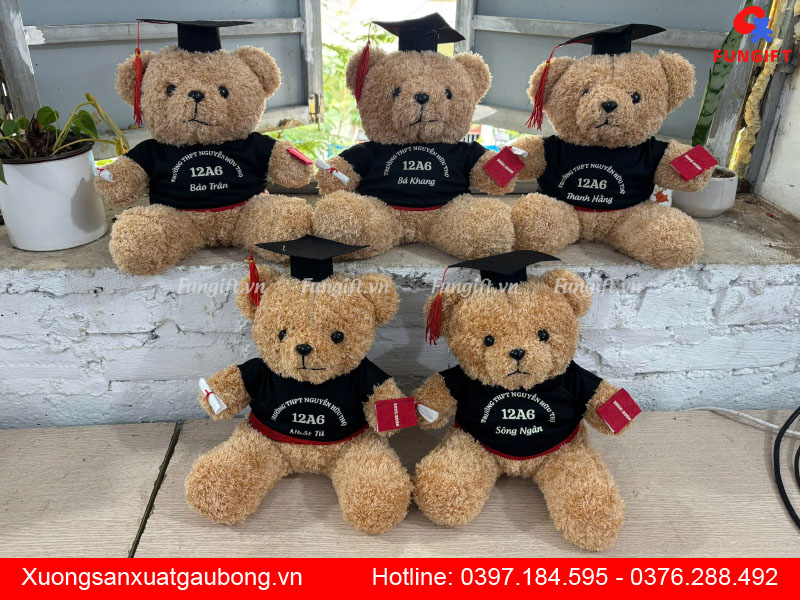 Gấu bông tốt nghiệp giá rẻ tại Hà Nội