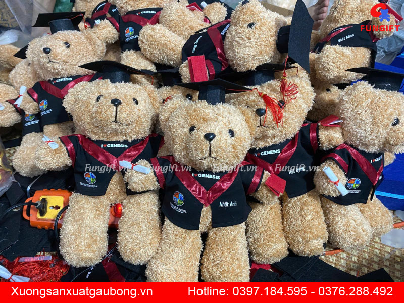 Gấu bông tốt nghiệp giá rẻ