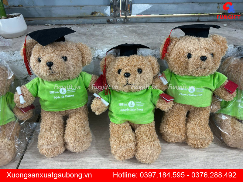 Gấu bông tốt nghiệp Hà Nội