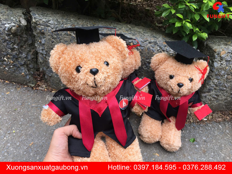 Gấu bông tốt nghiệp Hà Nội