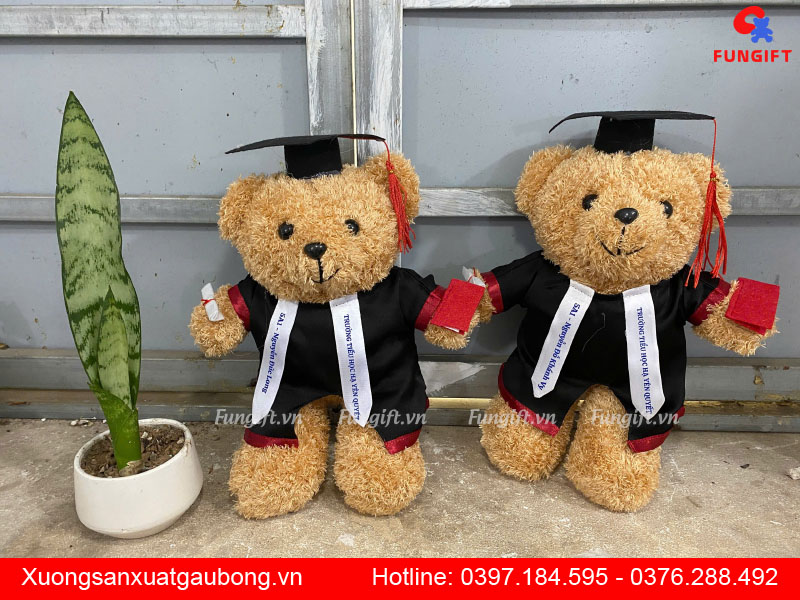 Gấu bông tốt nghiệp làm quà tặng