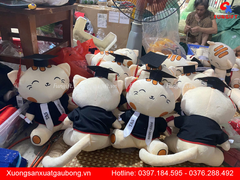 Gấu bông tốt nghiệp mèo con dễ thương, quà tặng tốt nghiệp