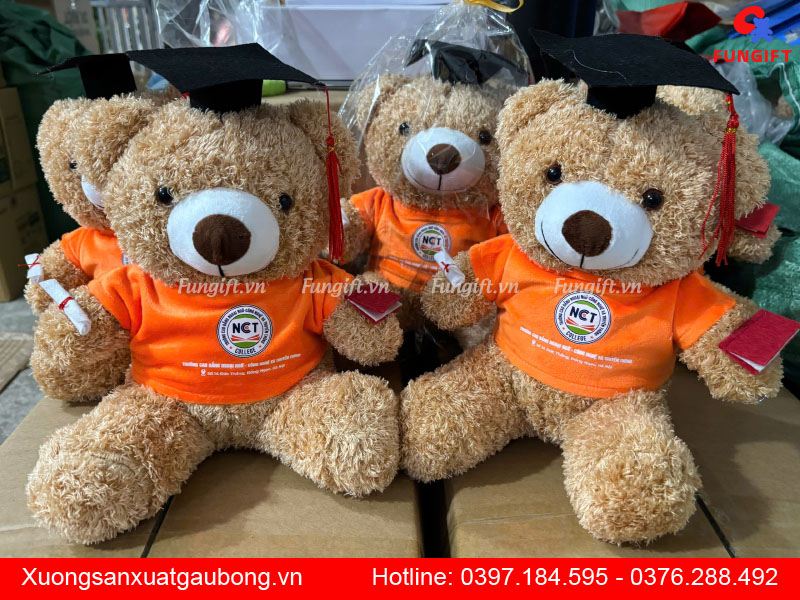 Gấu teddy tốt nghiệp quà tặng