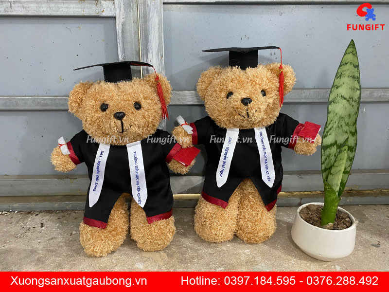 Gấu tốt nghiệp cử nhân in tên