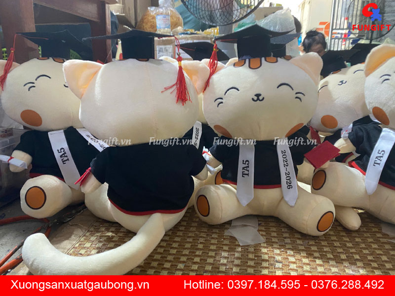 Mèo bông tốt nghiệp giá rẻ