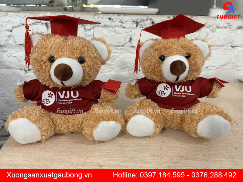 Gấu bông tốt nghiệp giá rẻ tại Hà Nội