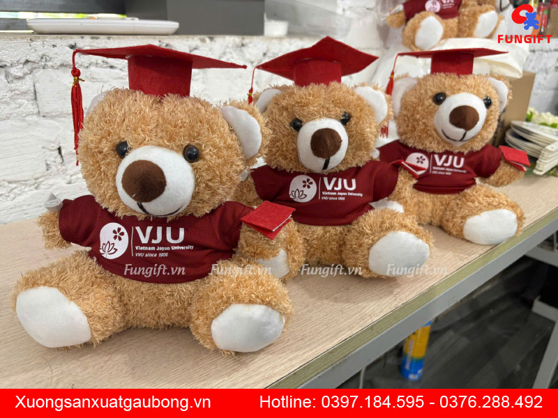 Gấu bông tốt nghiệp giá sỉ