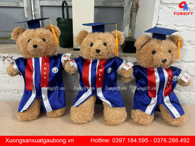 Gấu bông tốt nghiệp THUV