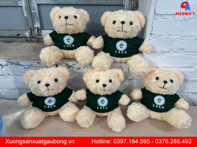 Đặt làm gấu bông theo yêu cầu Hà Nội
