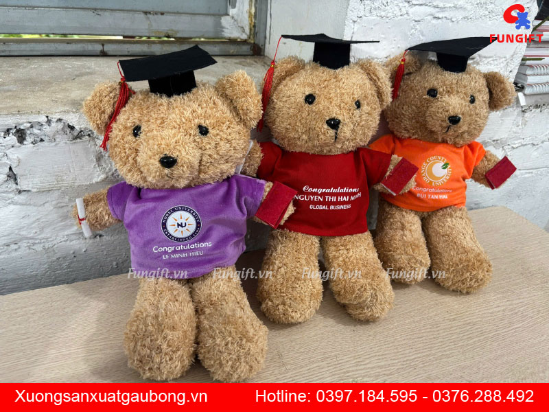 Gấu bông tốt nghiệp Hà Nội