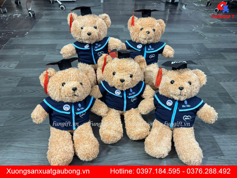 Gấu bông tốt nghiệp giá rẻ