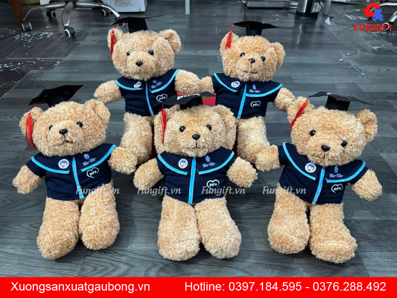 Gấu bông tốt nghiệp giá rẻ tại Hà Nội