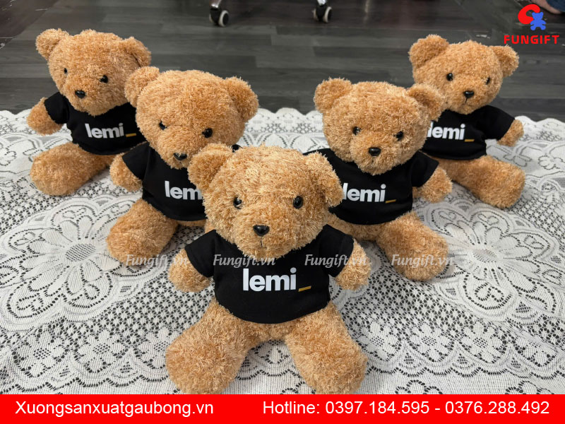 In gấu bông theo yêu cầu